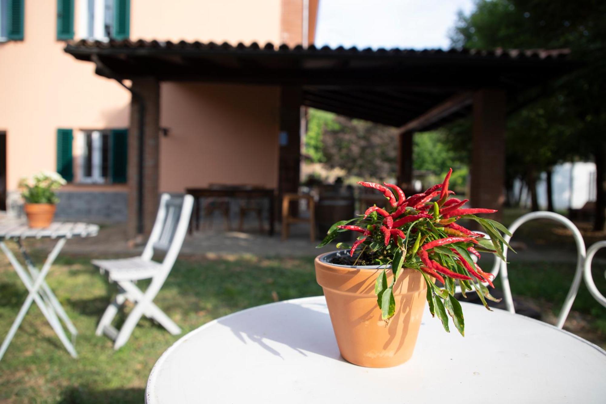 Country Boutique Paradiso Valmadonna Екстер'єр фото